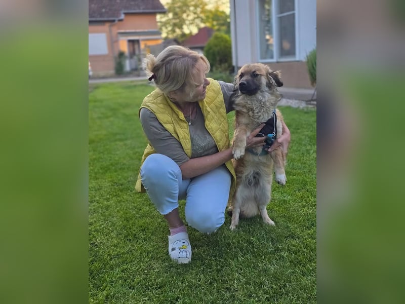 Fritz sucht ein Zuhause