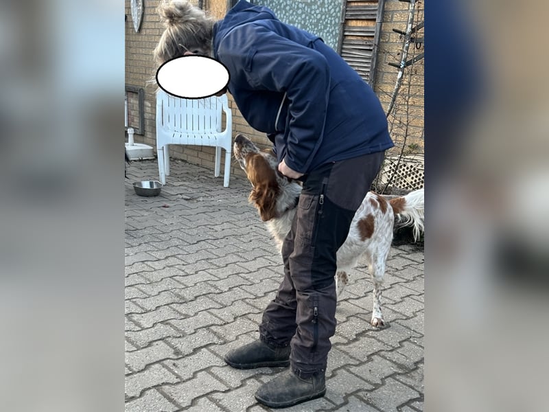 Pet möchte ein toller Begleiter werden