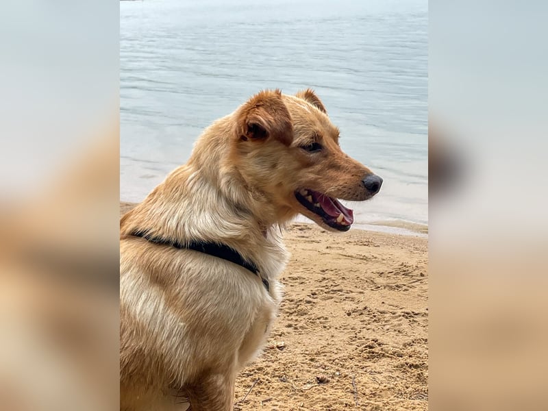 Herzensbrecher ZACK sucht seine eigene FAMILIE
