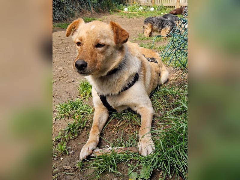Herzensbrecher ZACK sucht seine eigene FAMILIE