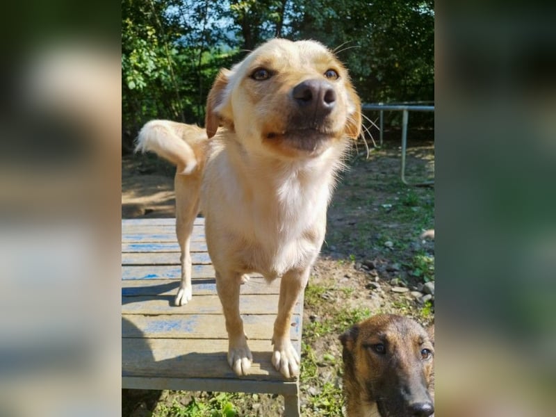 Herzensbrecher ZACK sucht seine eigene FAMILIE