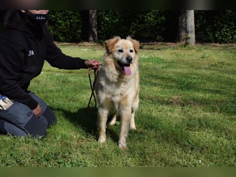 Alemix  - SOS - Im zweiten Anlauf neuer Altersruhesitz gesucht