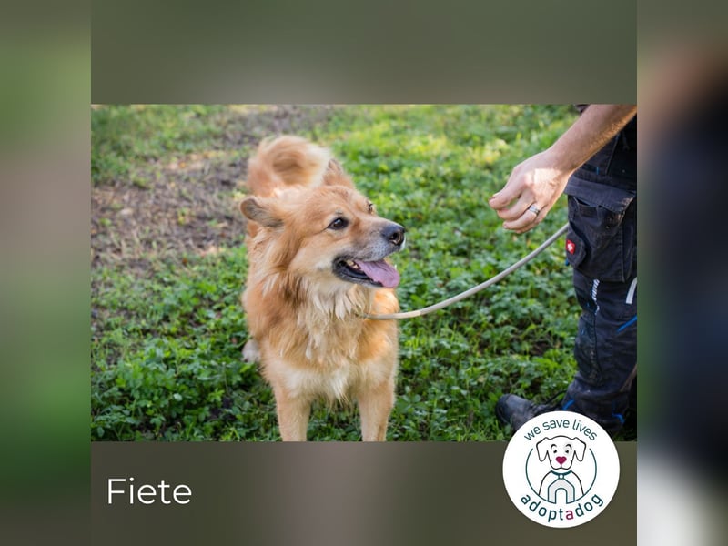 Fiete: Verwandlung durch Verständnis