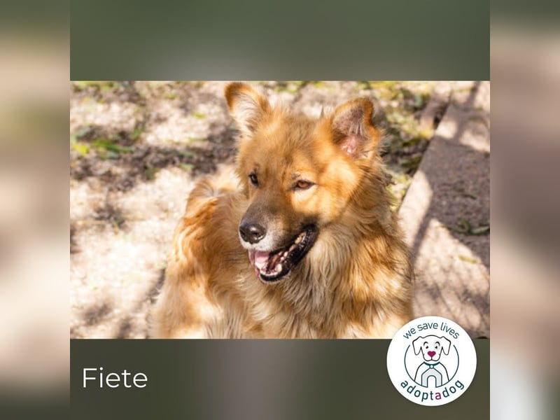 Fiete: Verwandlung durch Verständnis
