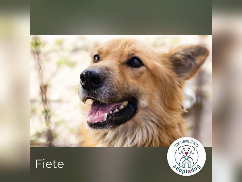 Fiete: Verwandlung durch Verständnis