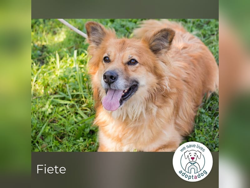 Fiete: Verwandlung durch Verständnis