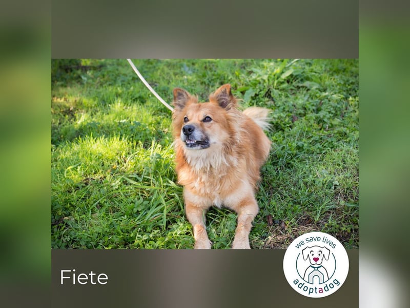Fiete: Verwandlung durch Verständnis