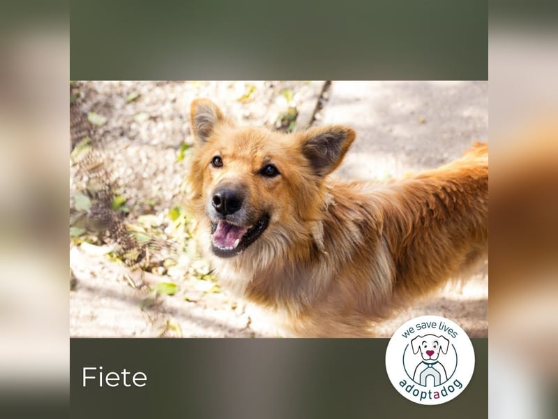 Fiete: Verwandlung durch Verständnis