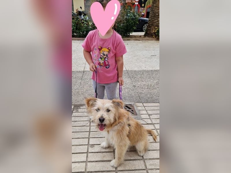WILLIAM ❤️ Herzensbrecher auf vier Pfoten