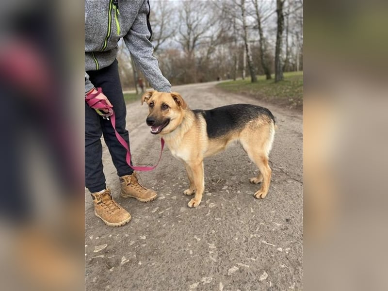 Willy hat einen Traum und große Hoffnung