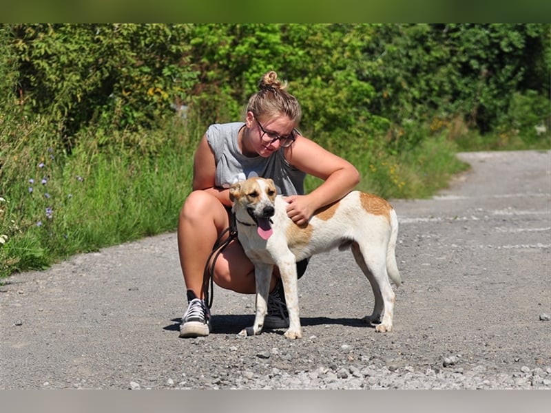 Daxi mag alle Menschen