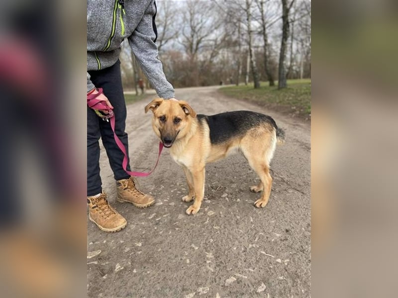 Willy hat einen Traum und große Hoffnung