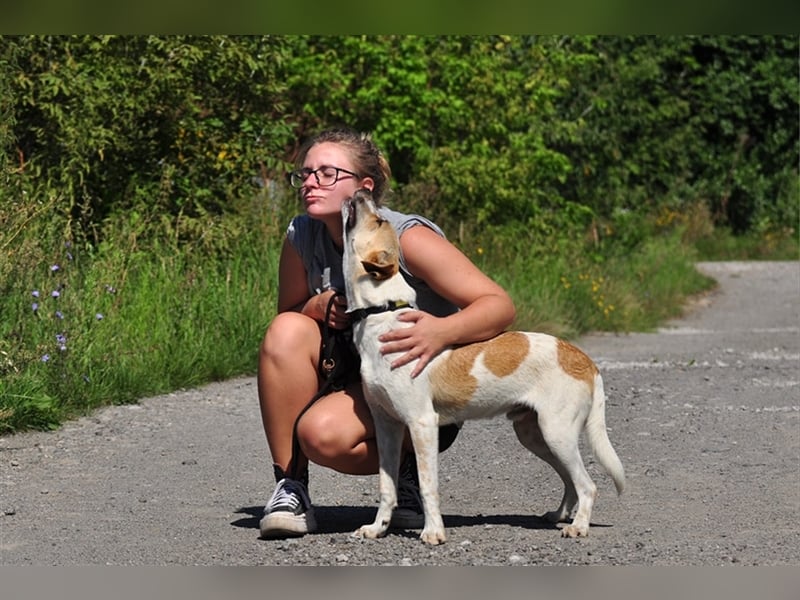 Daxi mag alle Menschen