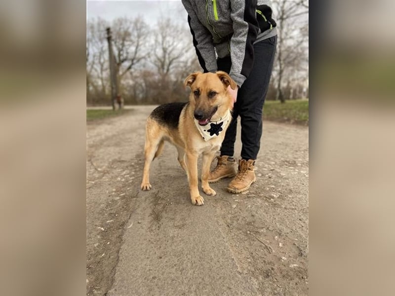 Willy hat einen Traum und große Hoffnung