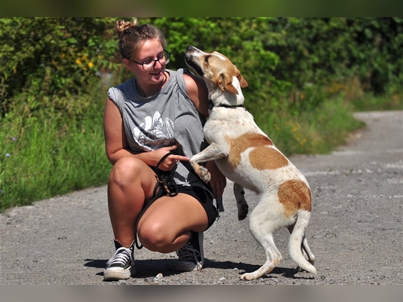 Daxi mag alle Menschen