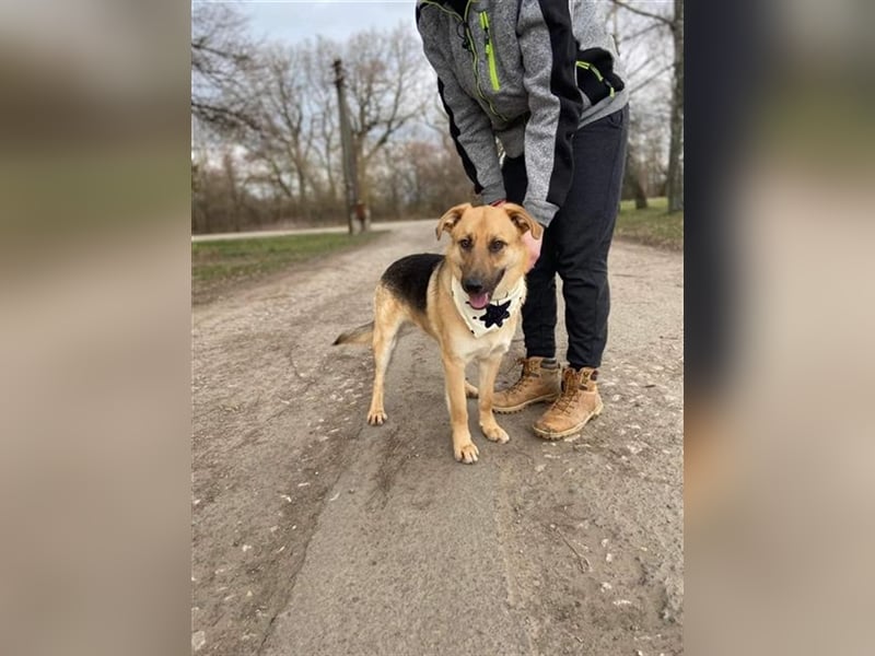 Willy hat einen Traum und große Hoffnung
