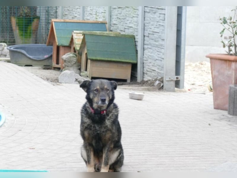 Teddy – mein Freund!