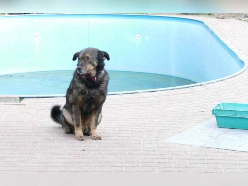 Teddy – mein Freund!