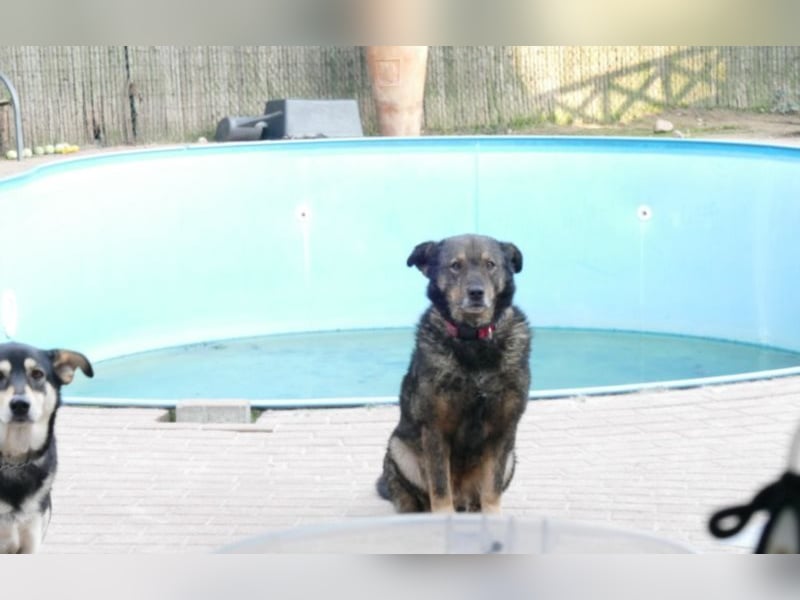 Teddy – mein Freund!