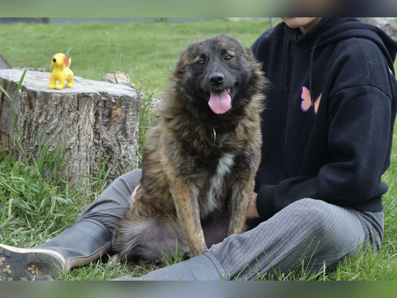 Freundlicher Timmy sucht seine Familie
