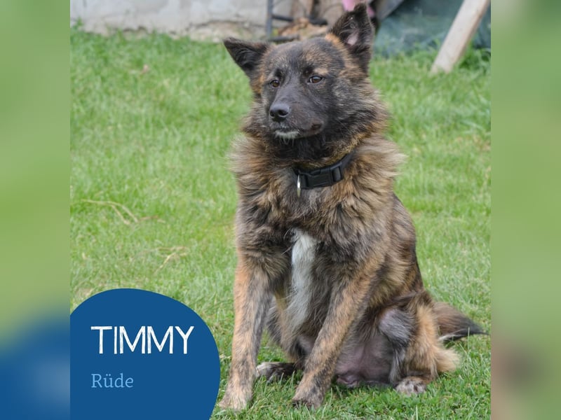Freundlicher Timmy sucht seine Familie