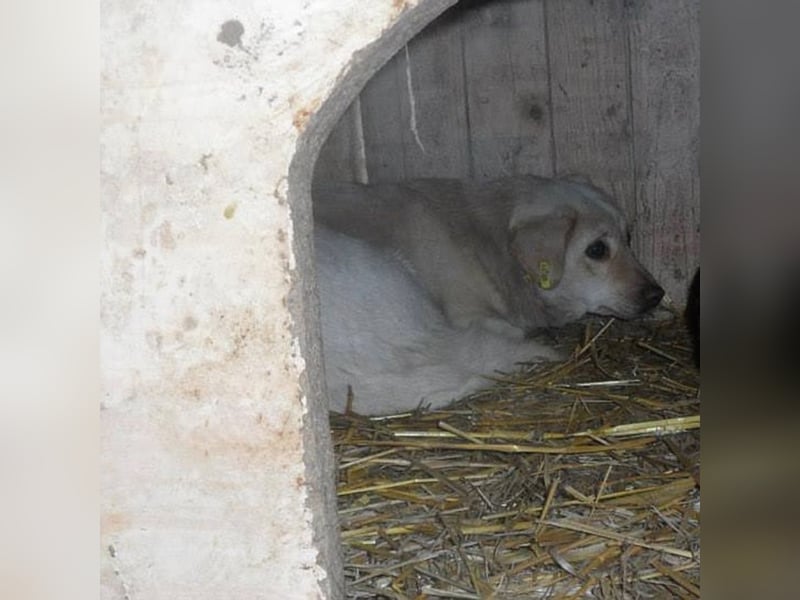 Toni sucht seine Familie