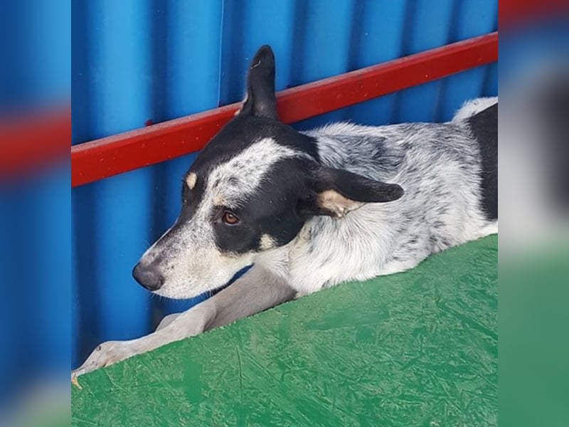 Finley sucht seine Familie