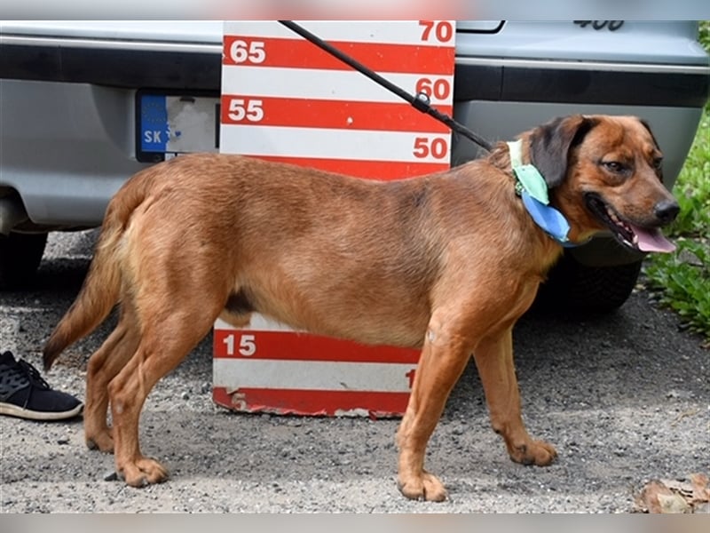 Ivan Y99 sucht die Nähe zum Menschen