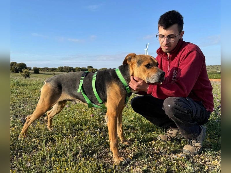 Thor - 1,5 m Kette waren sein Leben