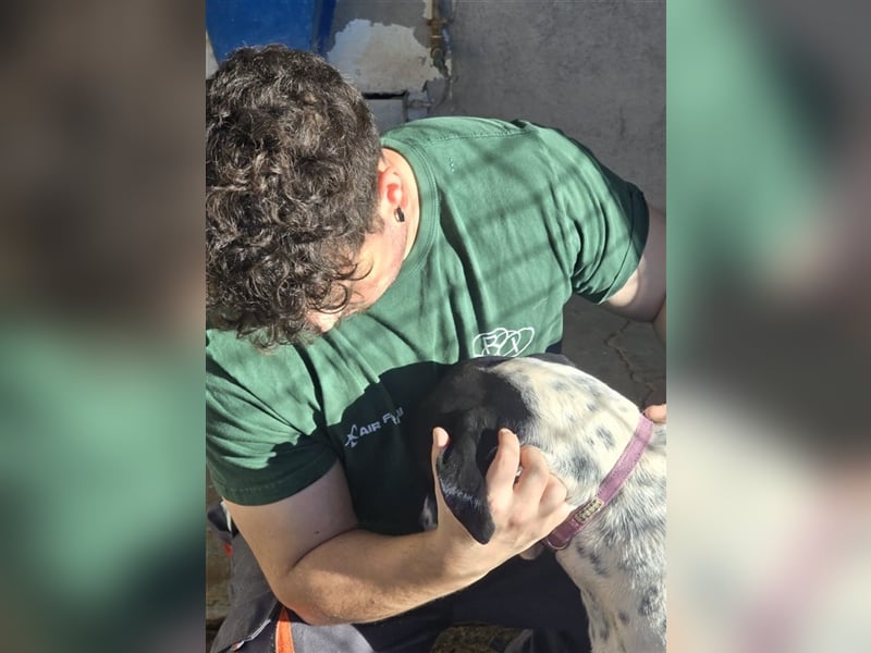 Bruno – für jeden Spaß zu haben