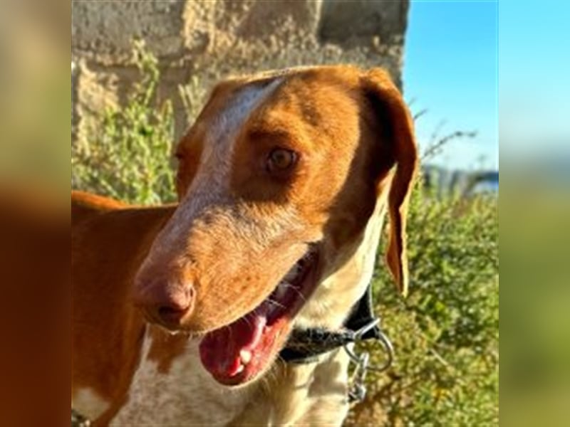 Ringo – Schluss mit der Opferrolle!