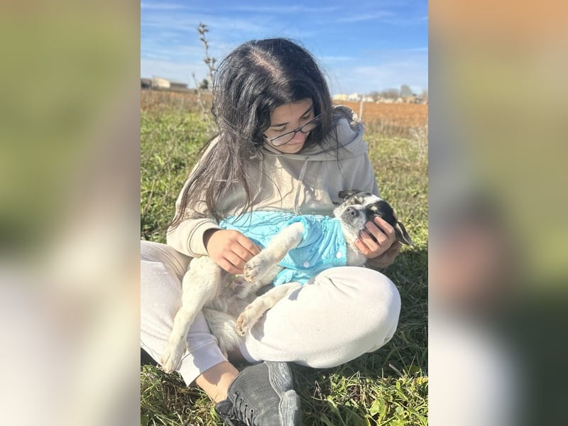Smothi - kleine Kuschelmaus