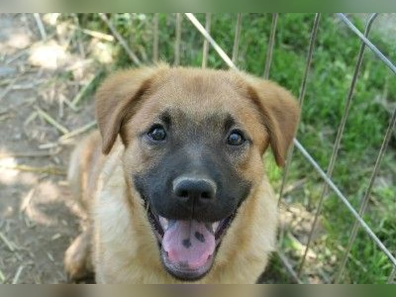 Zauberhafter Wirbelwind Tux sucht seine Familie
