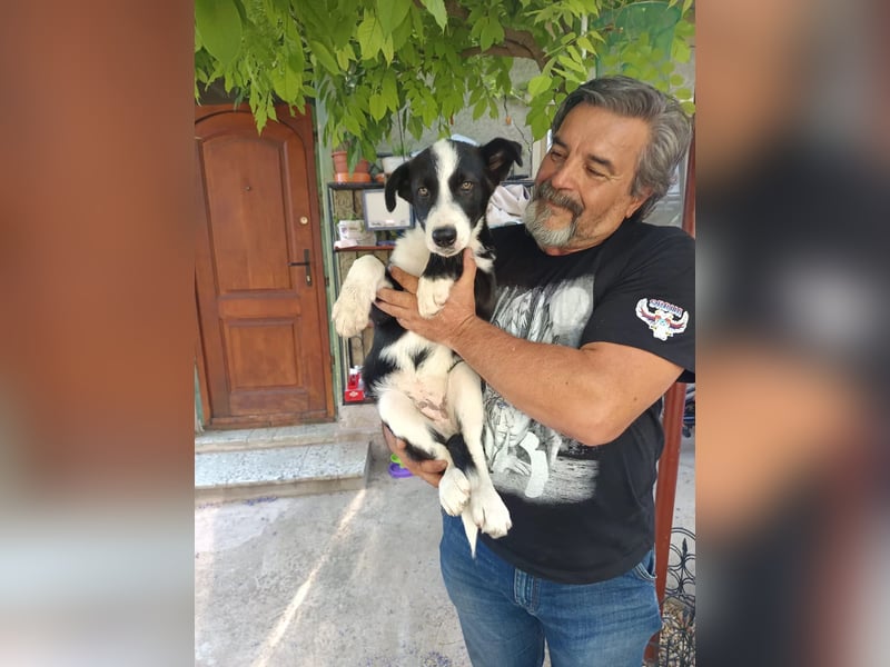 aufgeschlossener JAY-JAY sucht aktives Zuhause