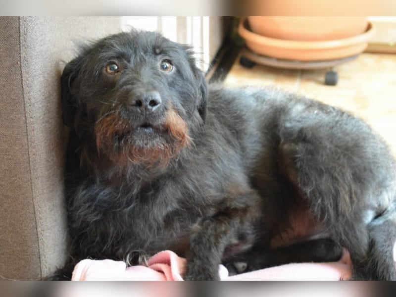 Eddy, ca. 2 Jahre alt