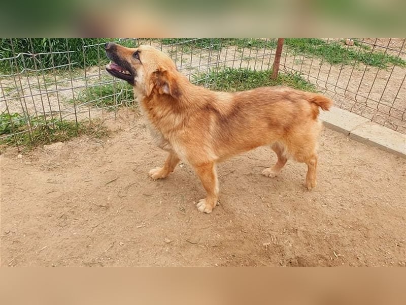 Mischa wartet auf sein Wunder