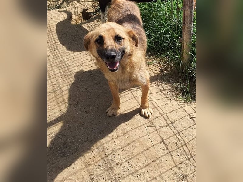 Mischa wartet auf sein Wunder