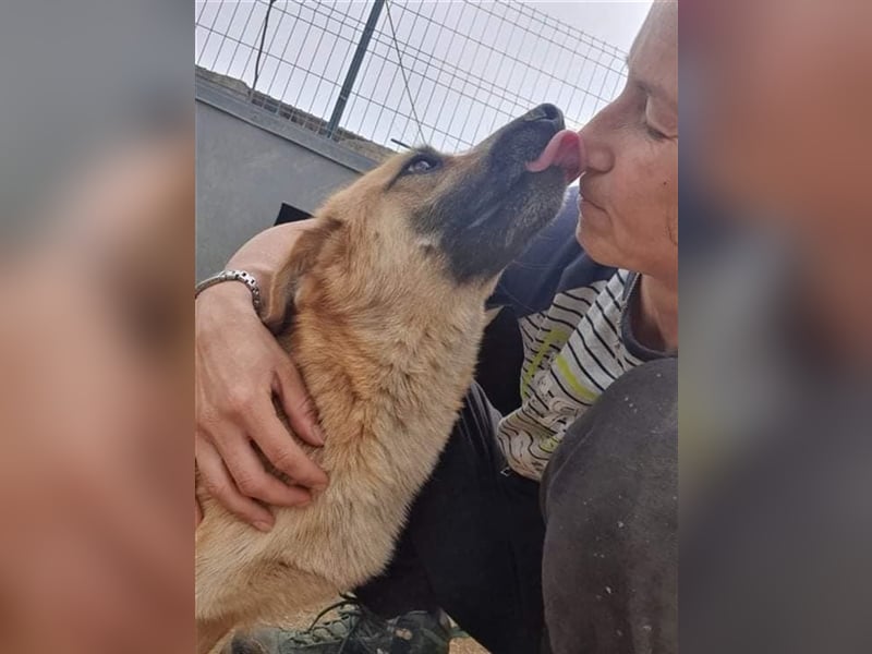 Mischa wartet auf sein Wunder