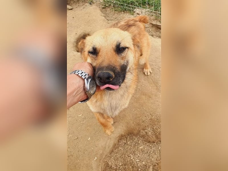 Mischa wartet auf sein Wunder