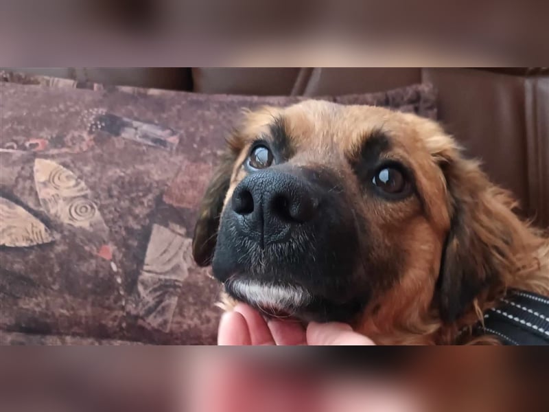 ❤️ Leo