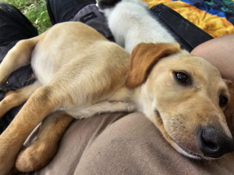 KAPO ❤️ süßer Knopf