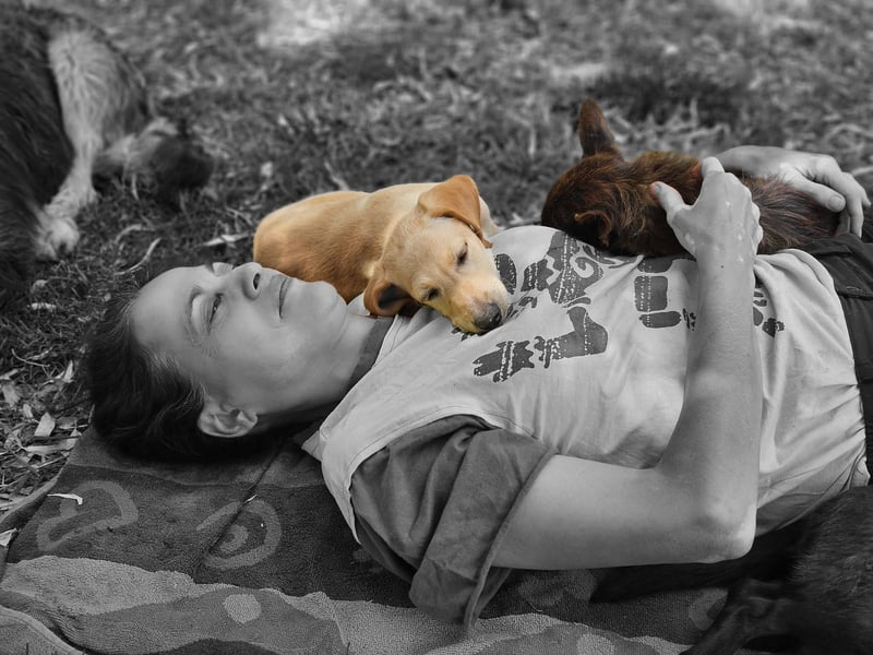 KAPO ❤️ süßer Knopf
