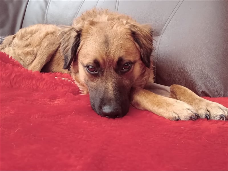 ❤️ Leo