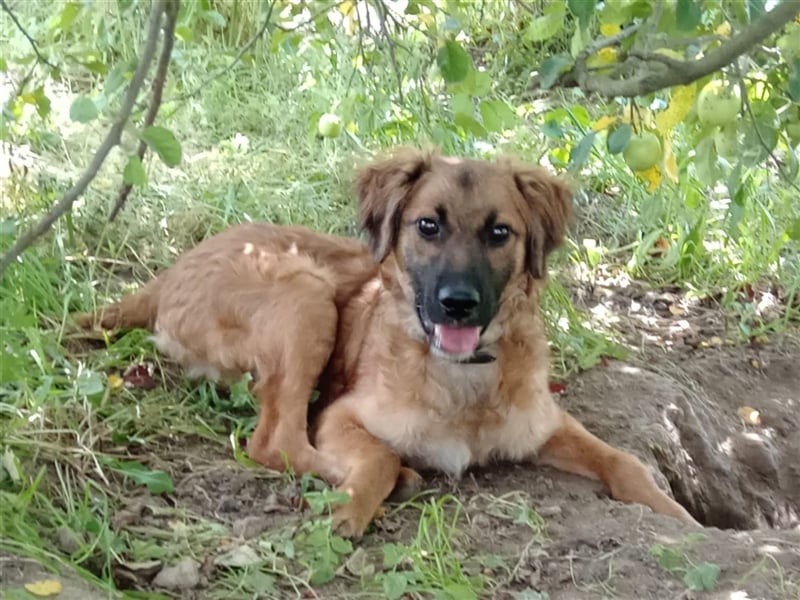 ❤️ Leo