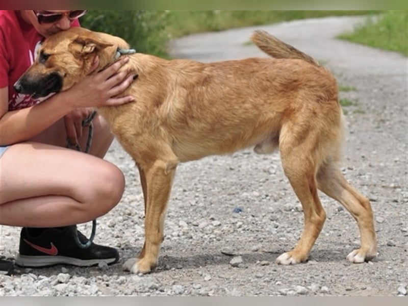 Bark liebt Spiel, Spaß und Abenteuer