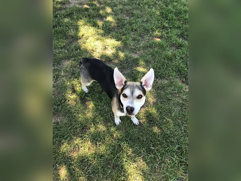 Alvin A10 ist einfach zum Verlieben