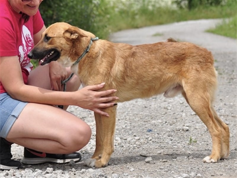 Bark liebt Spiel, Spaß und Abenteuer
