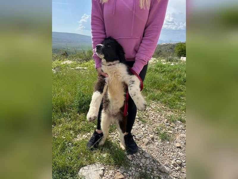 Clooney sucht sein großes Glück
