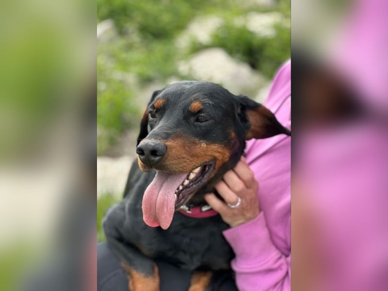Beaufort - Lieblingsmensch gesucht