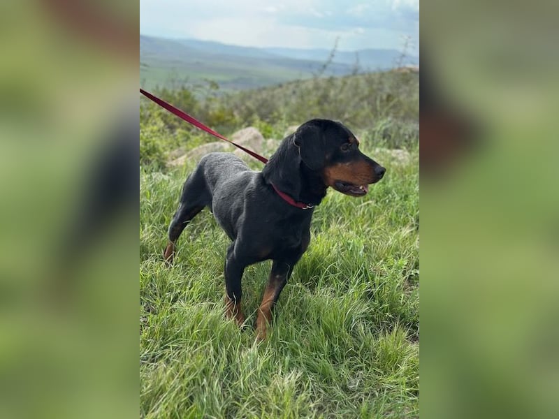 Beaufort - Lieblingsmensch gesucht